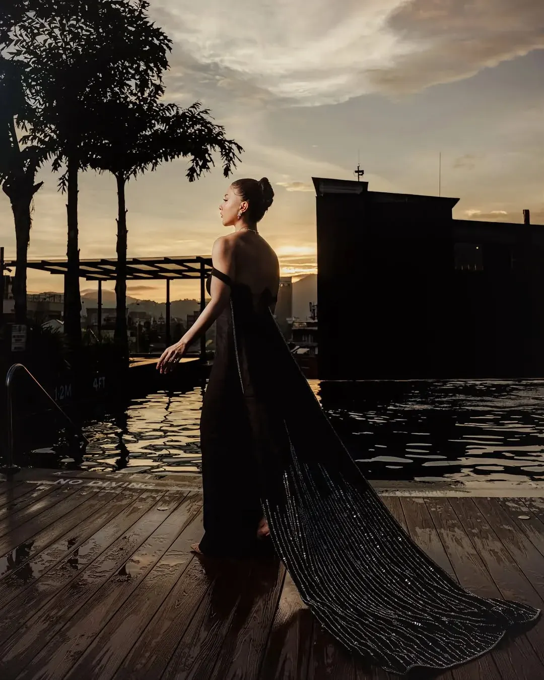 A black gown with a beaded train, photographed against a lit sky at dusk.